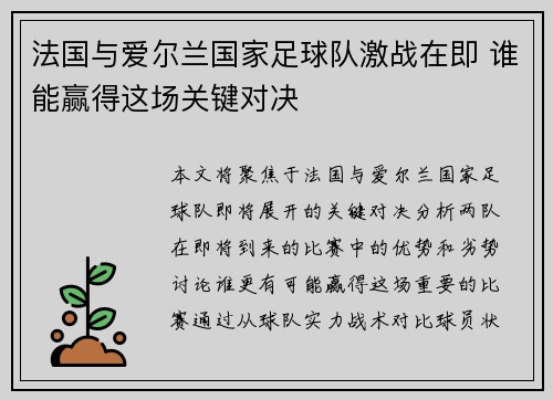 法国与爱尔兰国家足球队激战在即 谁能赢得这场关键对决